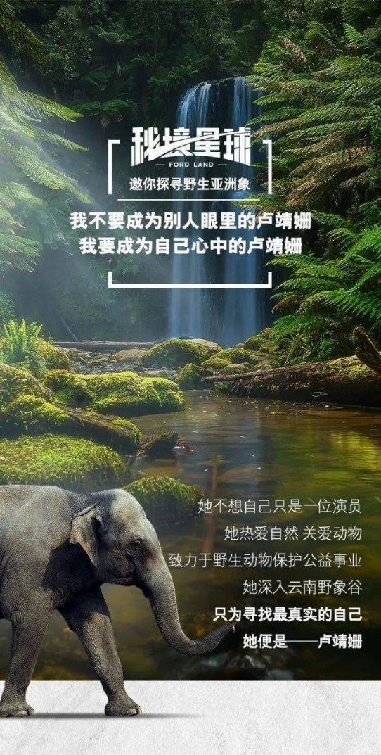 官宣!济南交通信号灯,进入“寒假模式”